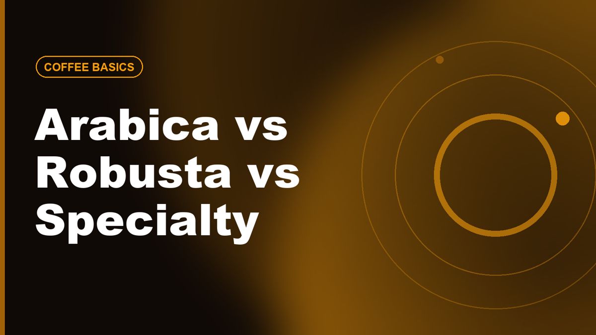 Arabica vs Robusta vs Specialty Coffee: What's the Difference?