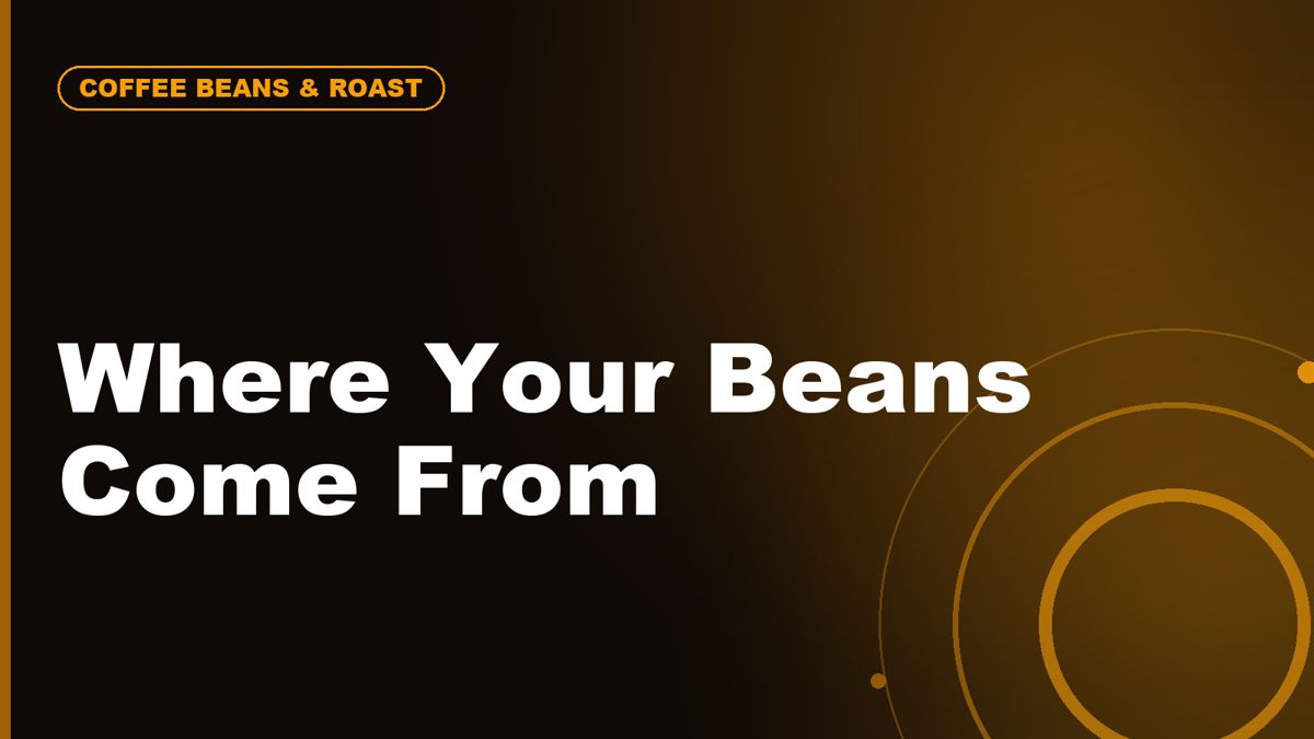 Traceable Coffee Beans: Why More Roasters Are Talking About Origin, Process, and Farm Data