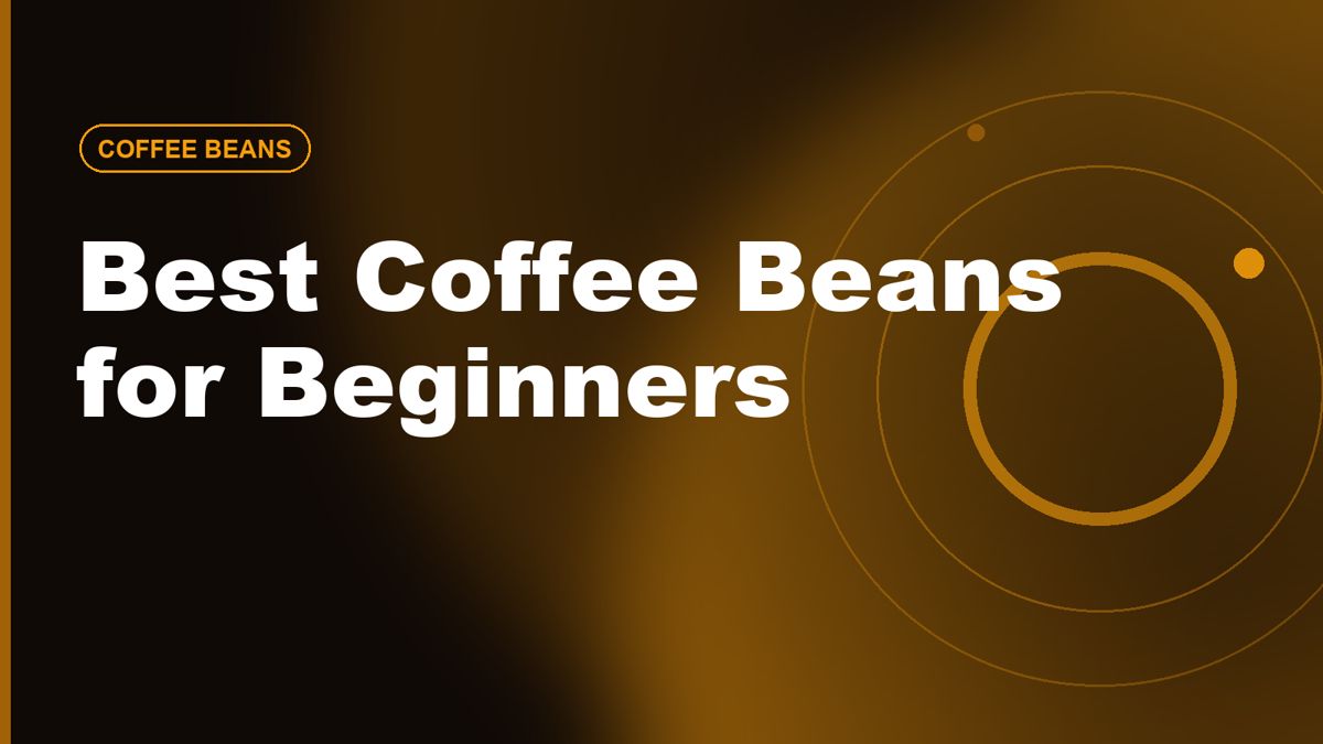Best Coffee Beans for Beginners: How to Choose Beans You'll Love