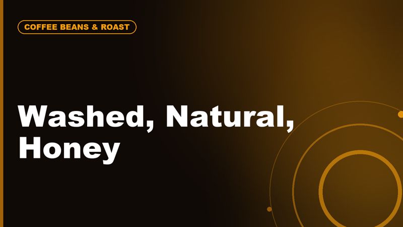Washed vs Natural vs Honey Process Coffee Explained
