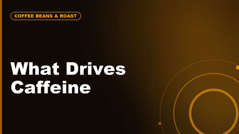 Caffeine in Coffee: What Affects It More Than You Think